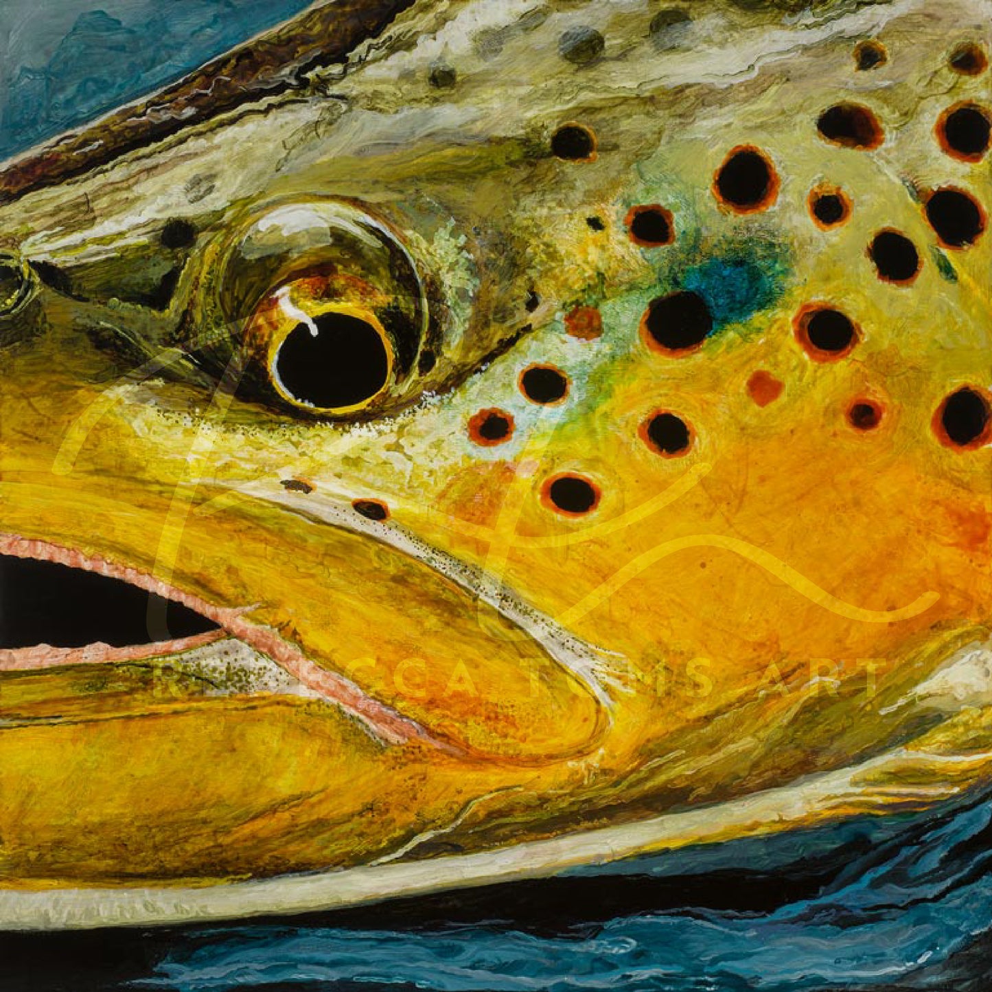 "Brown Trout" Metallic Paper Print
