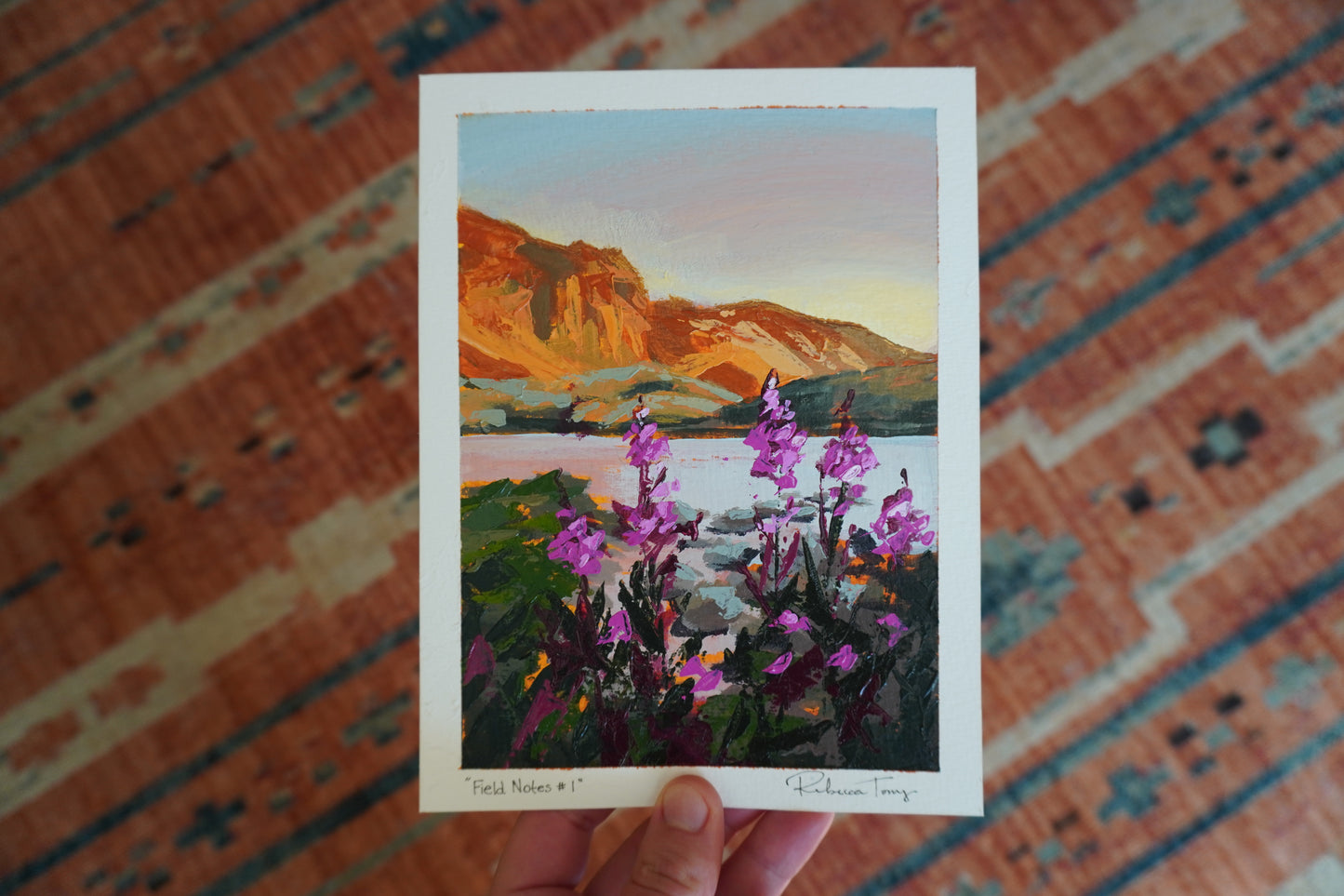 Field Notes #1