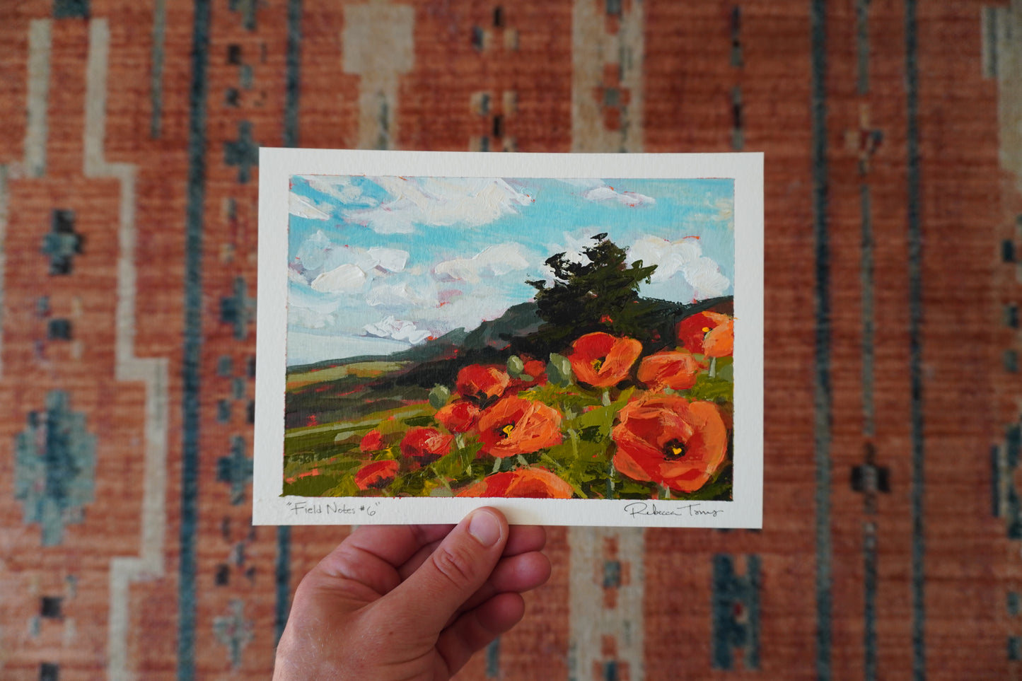 Field Notes #6