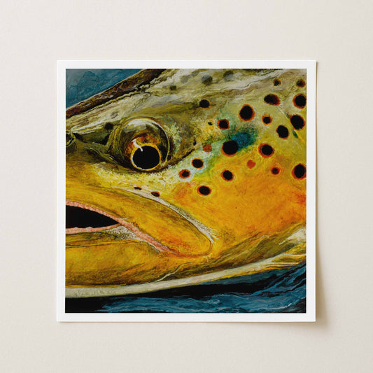 "Brown Trout" Metallic Paper Print