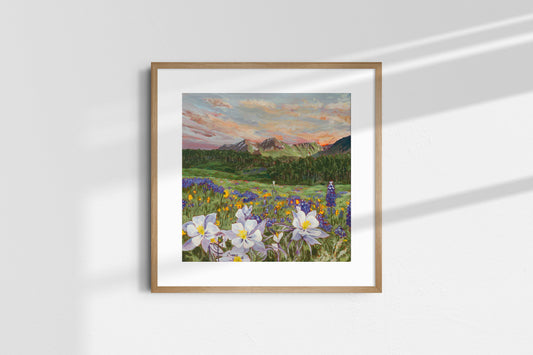 "Colorado Columbine" Print