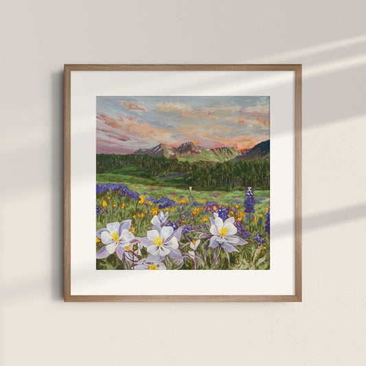 "Colorado Columbine" Print