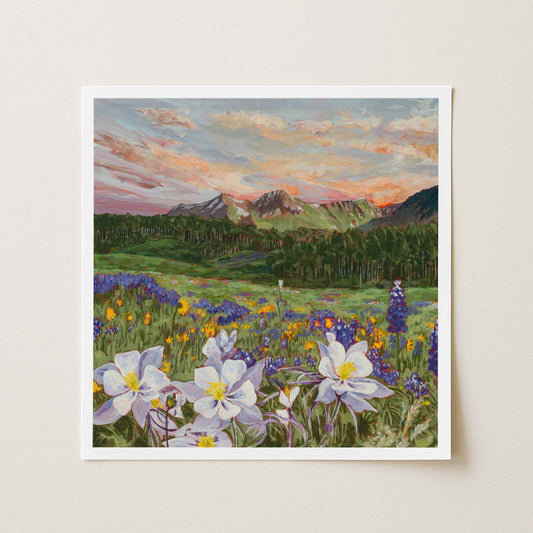 "Colorado Columbine" Print