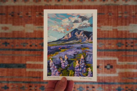 Field Notes #3
