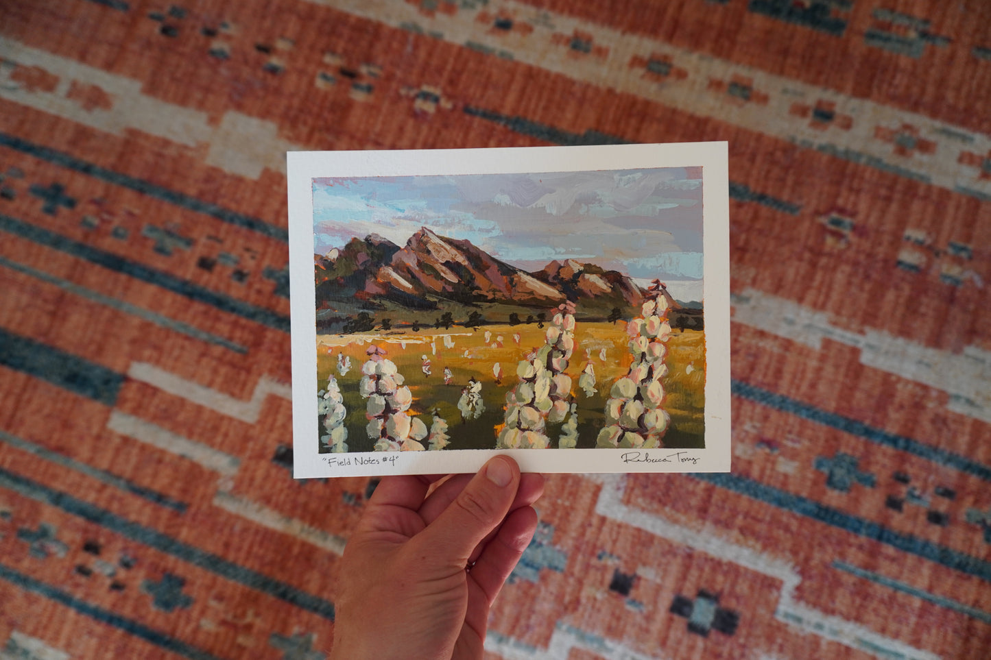 Field Notes #4