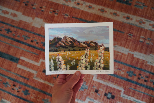 Field Notes #4