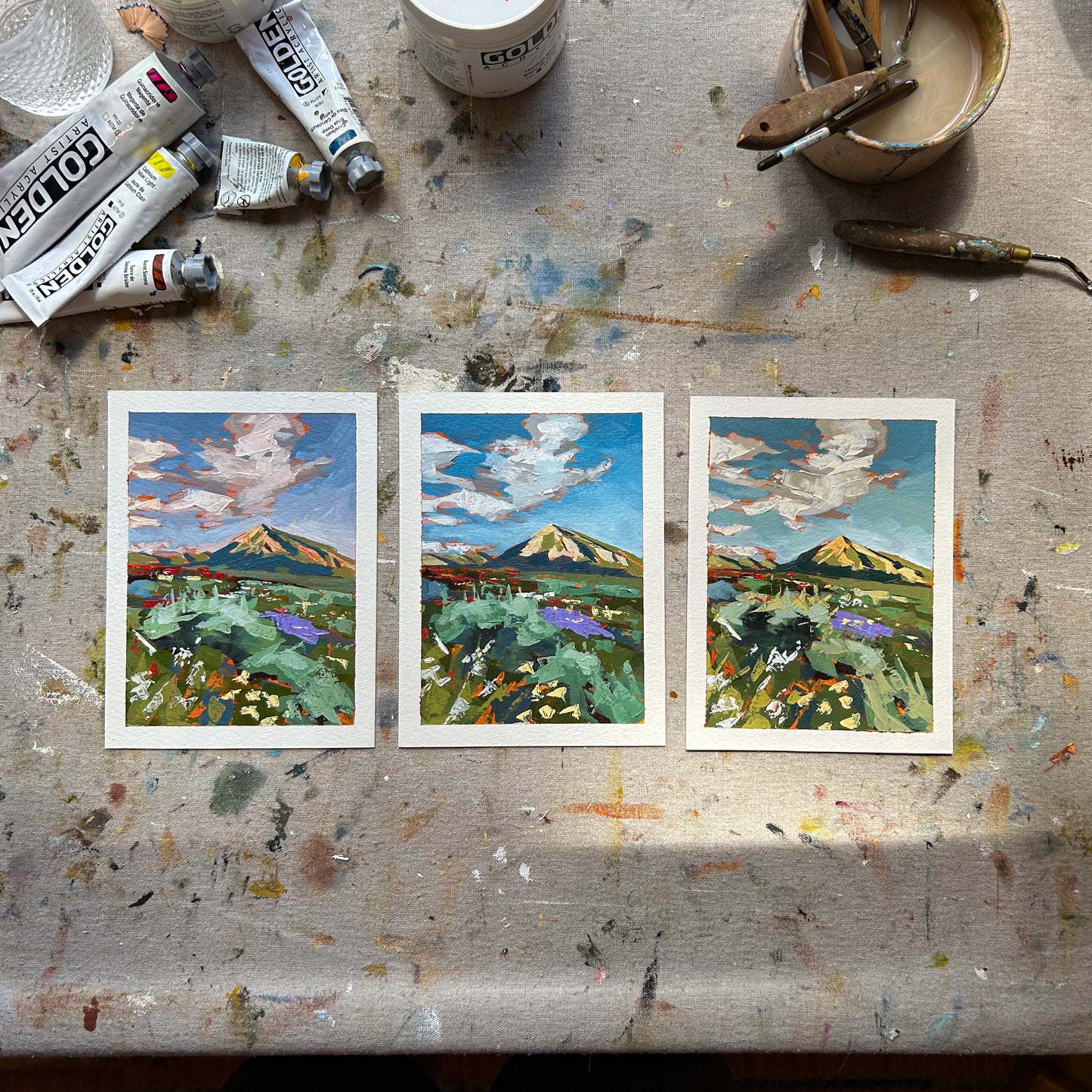 Mount Crested Butte #3