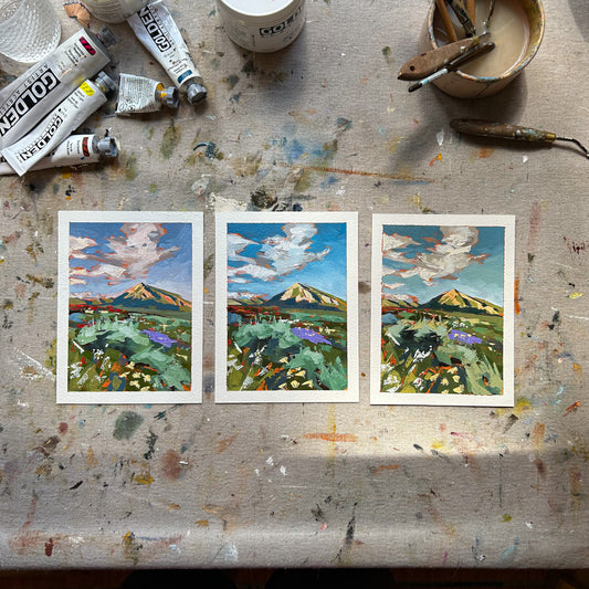 Mount Crested Butte #3
