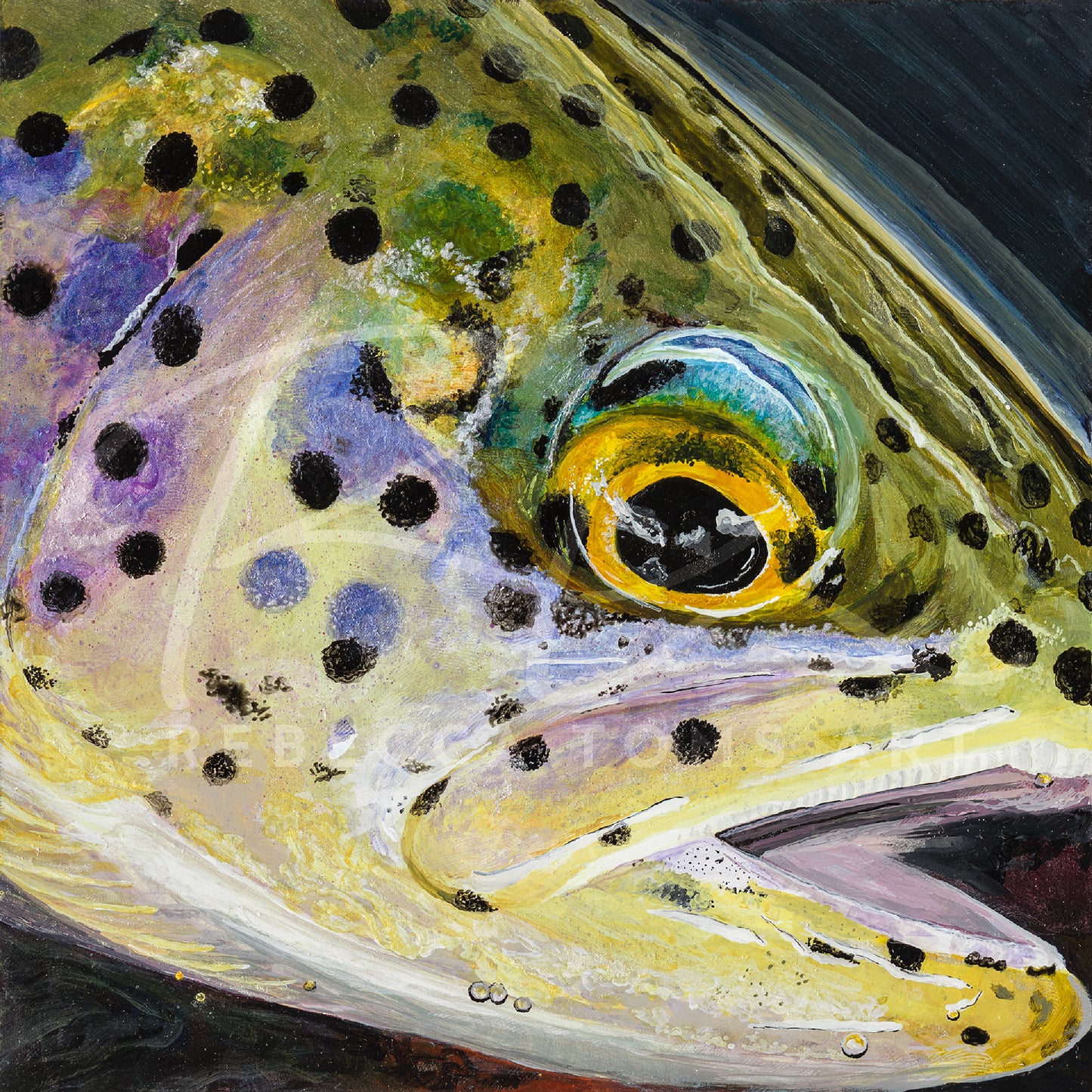 "Rainbow Trout" Metallic Paper Print