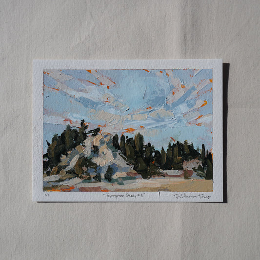 Evergreen Study #3